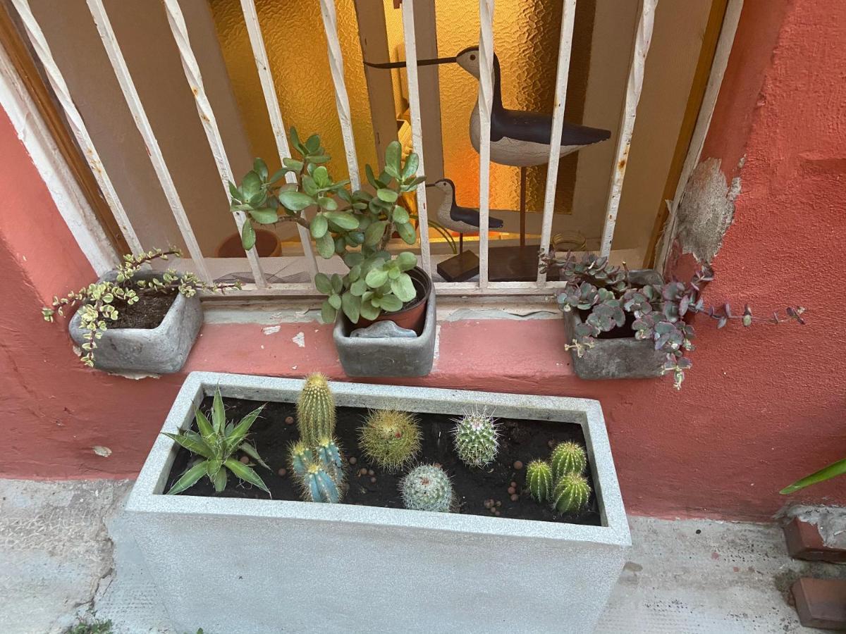 Joli Appart 29M2 En Vieille Ville Menton 2 Mins De La Mer Ngoại thất bức ảnh